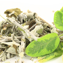 Sage
